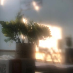 Meet your Posher, Peilin